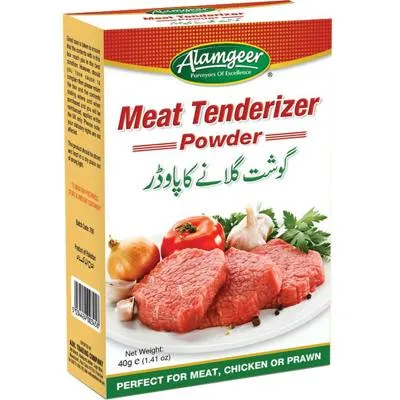 Alamgeer Meat Tenderizer Powder 40g (12x)