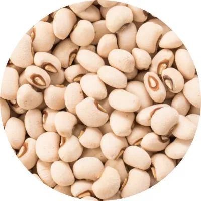 Brown Eye Bean 12pcs
