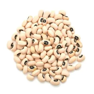 Black Eye Bean 12pcs